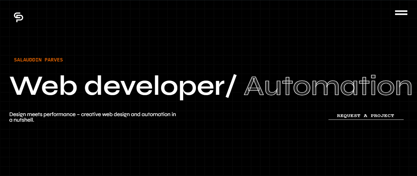 Salauddin Parves Portfolio